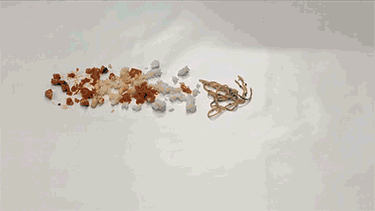 d81f5f2478de2a99e0b92840a42cca33_1566201919_4004.gif