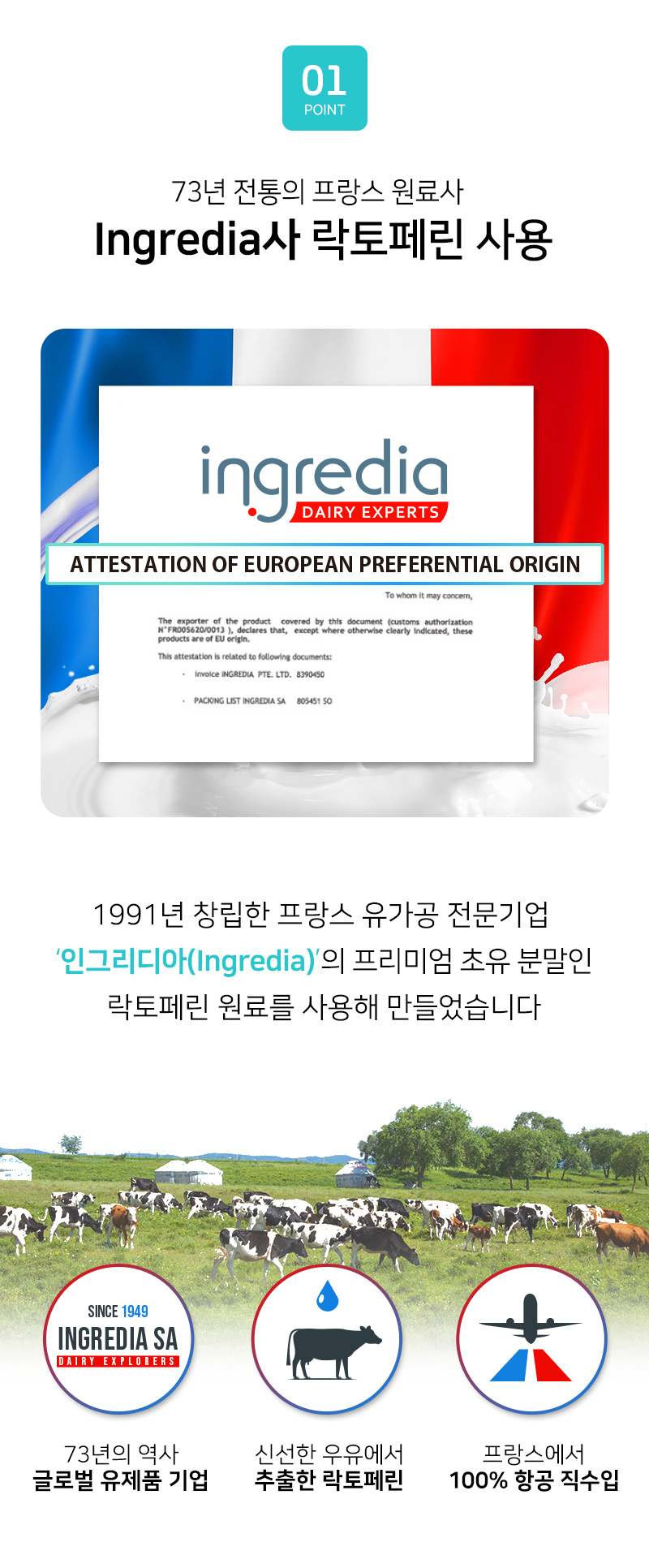 웰리즈 프랑스산 락토페린 프리미엄 정 60캡슐