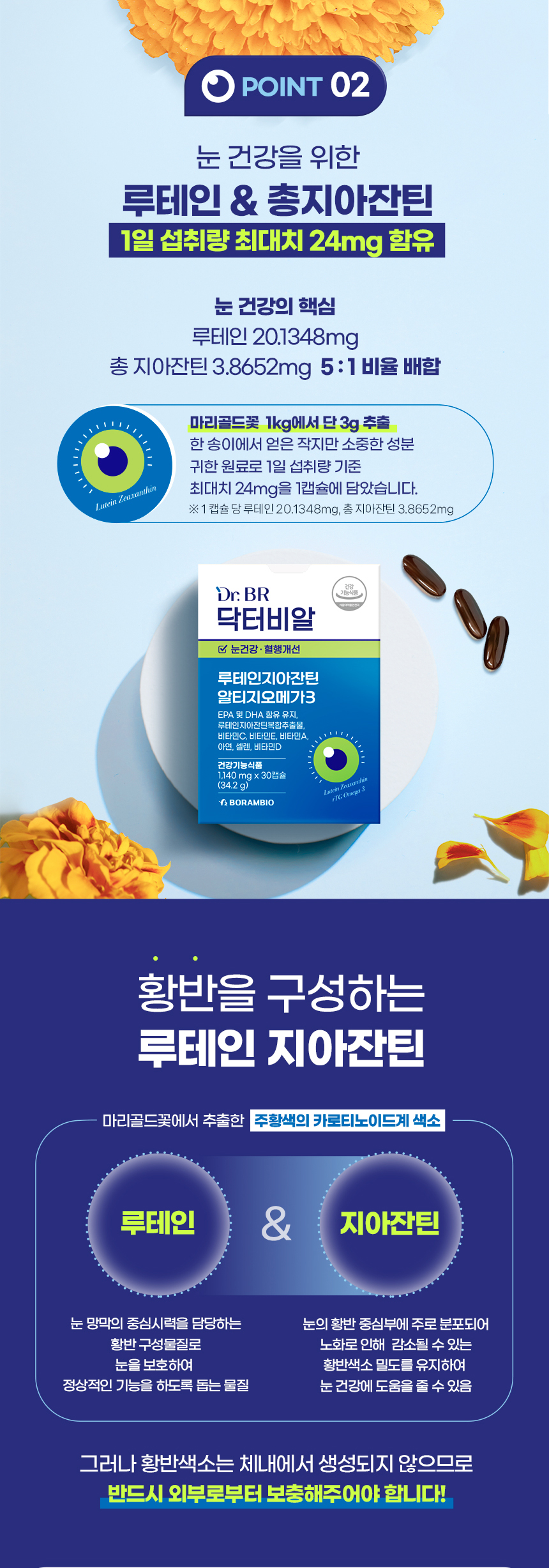 닥터비알 루테인지아잔틴 알티지 오메가3