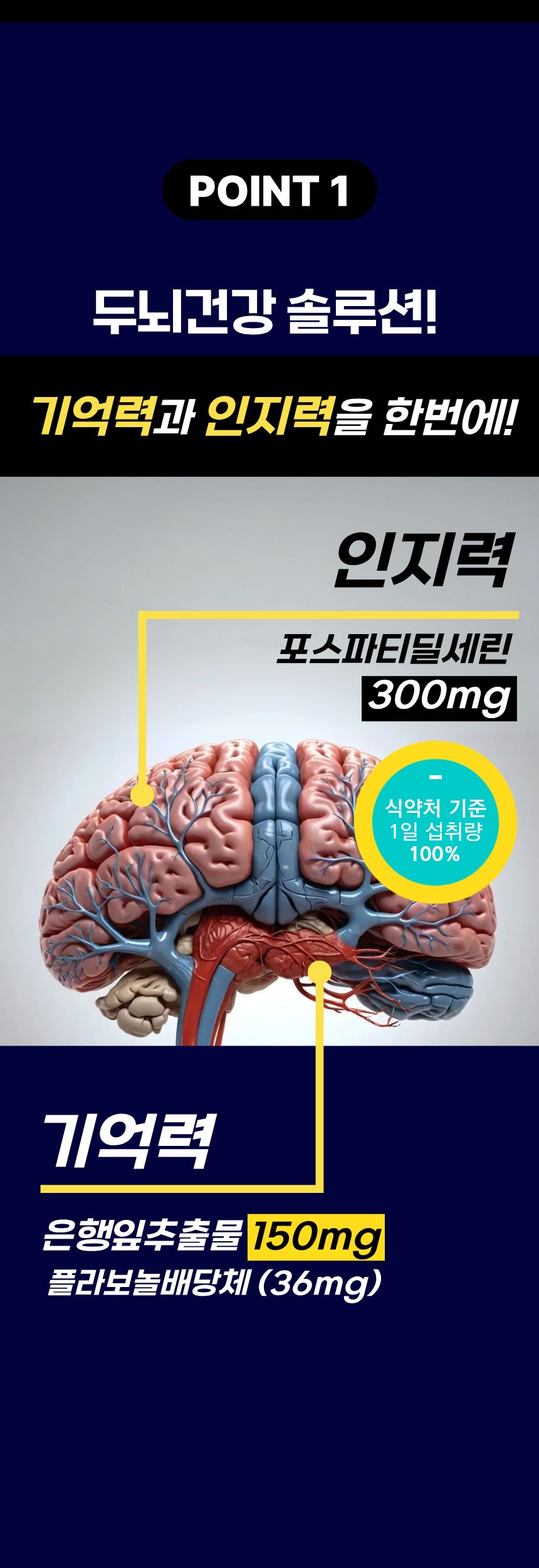 [약국전용]브레인알파포스 120캡슐 24세트(1카톤)