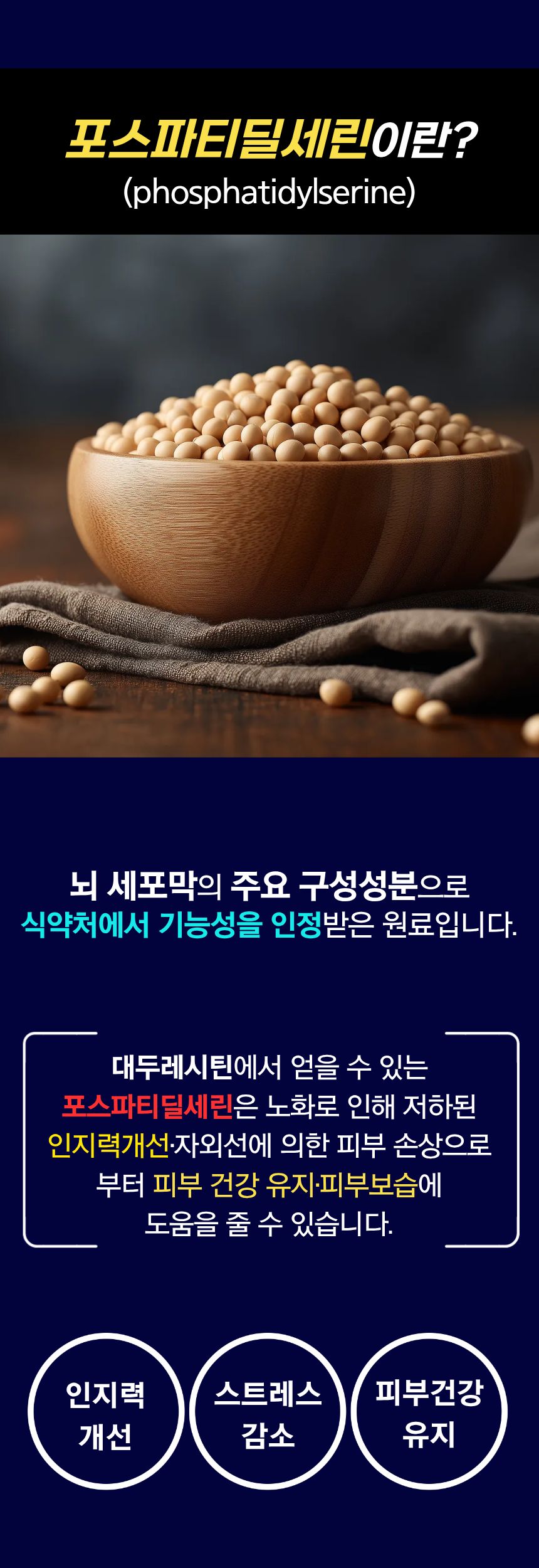 [약국전용]브레인알파포스 120캡슐 24세트(1카톤)