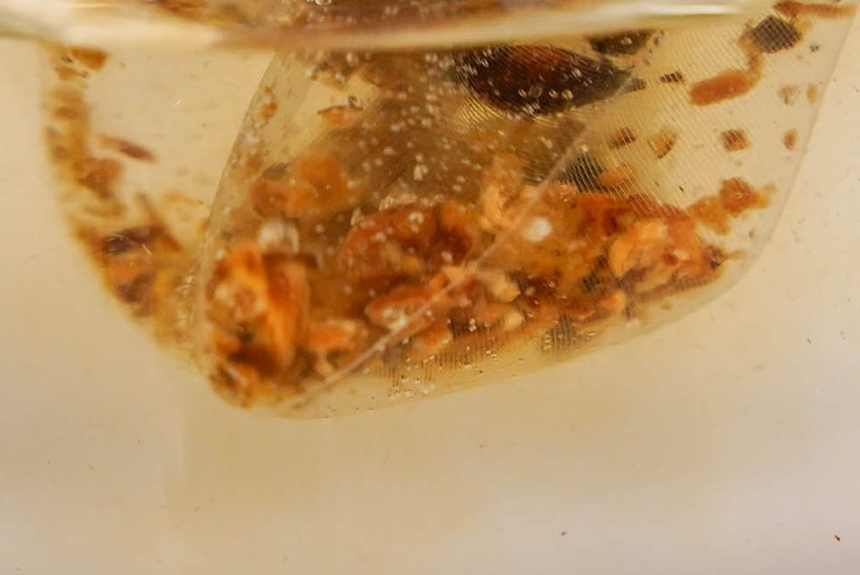 c2542a2898b57fbdc0832f2f3a4f8539_1781596466_2852.jpg