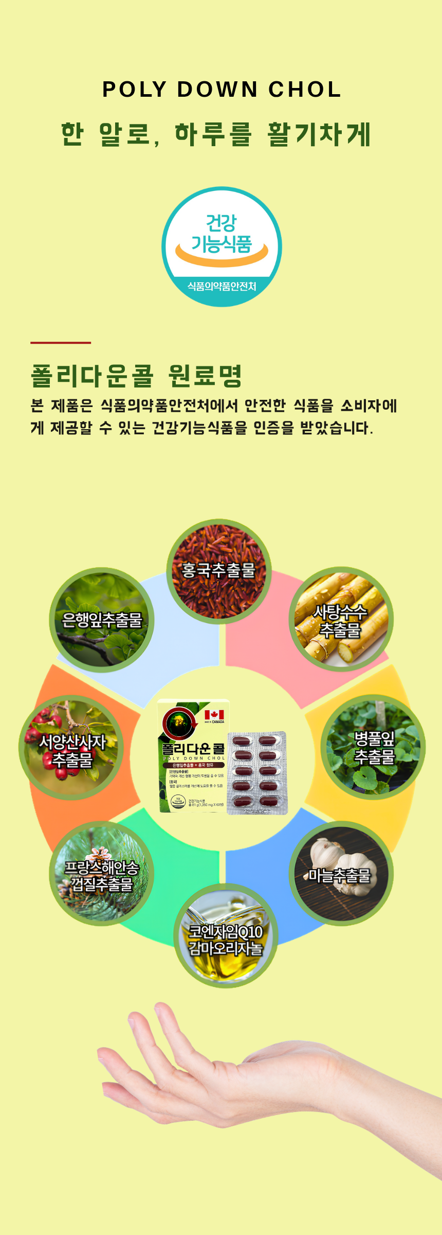 1e1db65722a60c9d33d3607dd45b47e7_1784787602_1139.png