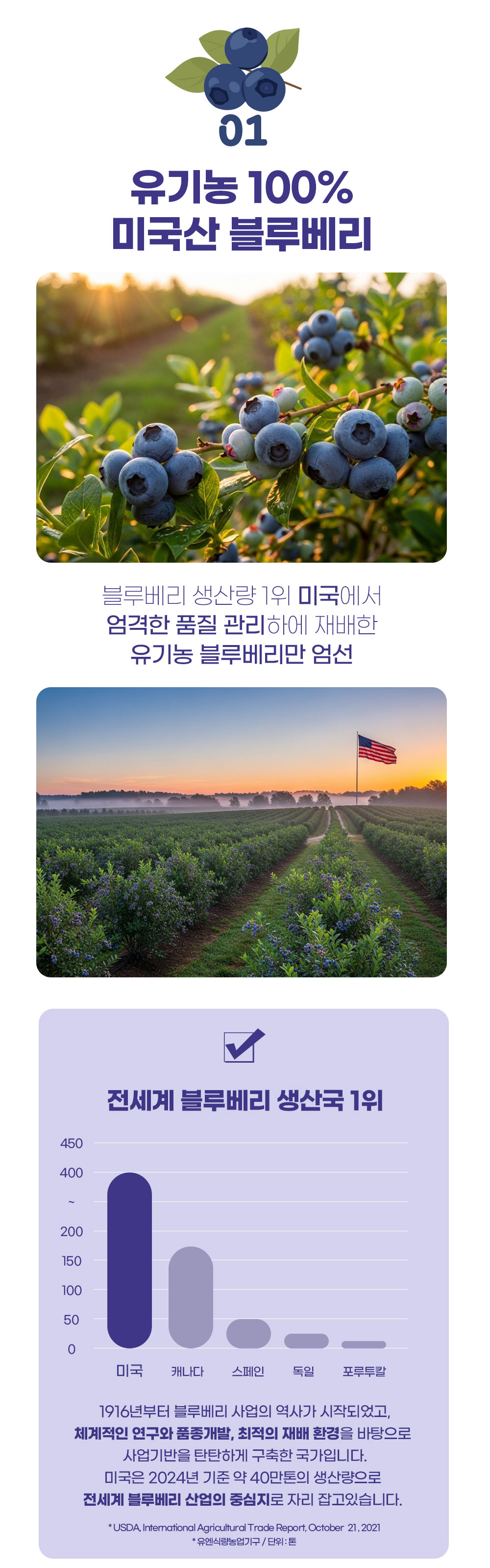 착한푸드 레오 유기농블루베리착즙 100% 3박스(42포)