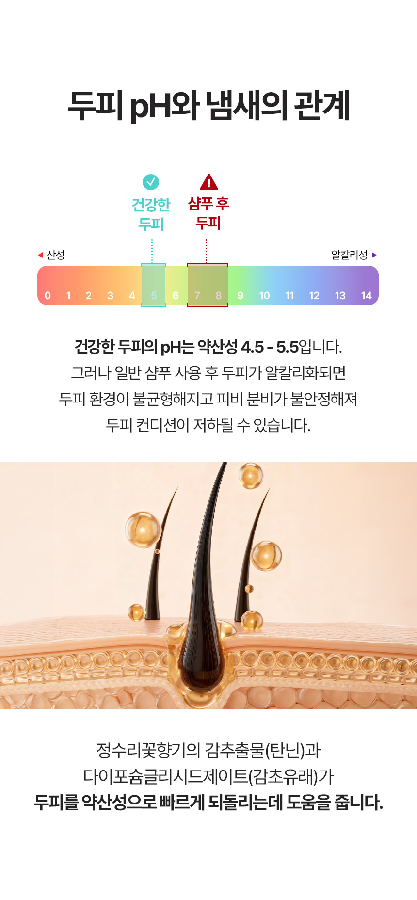 두피냄새 원인차단 미스트 정석랩 정수리꽃향기 샴푸 후 3초 케어 100ml