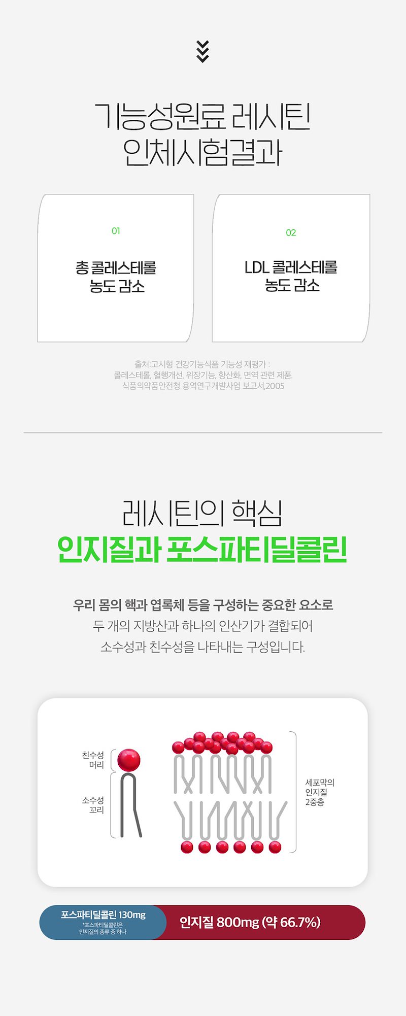 오리진 킵 오리진 레시틴 1200