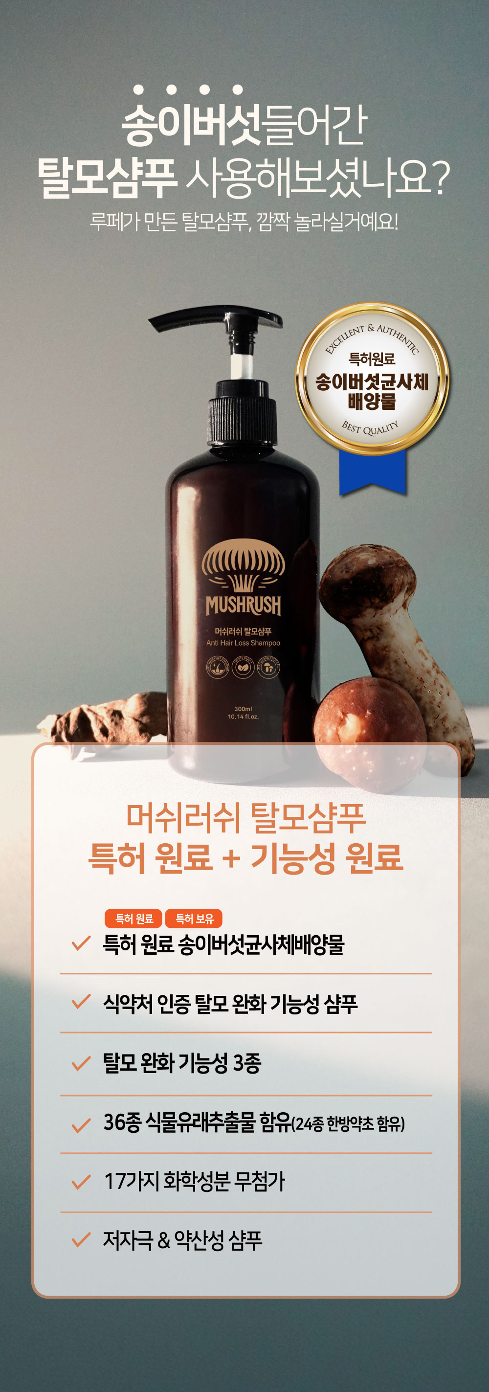 루페 머쉬러쉬 탈모샴푸 (동남아 수출 베스트 상품)