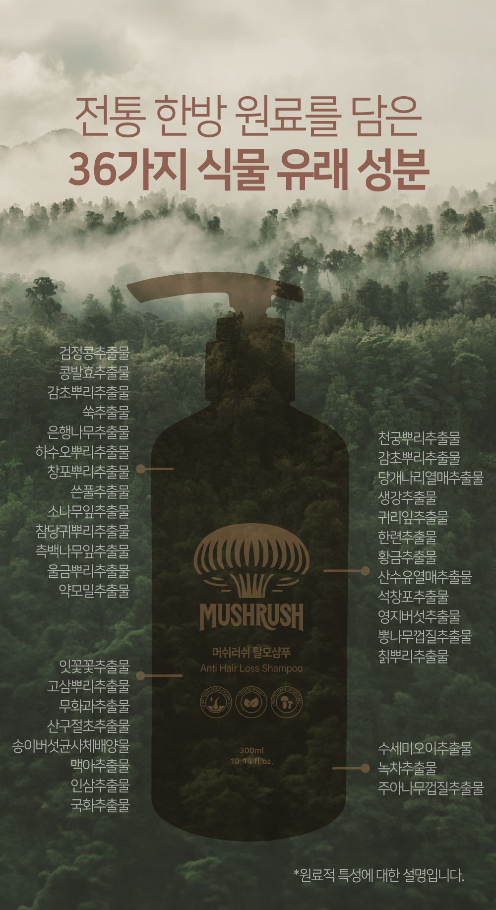 루페 머쉬러쉬 탈모샴푸 (동남아 수출 베스트 상품)