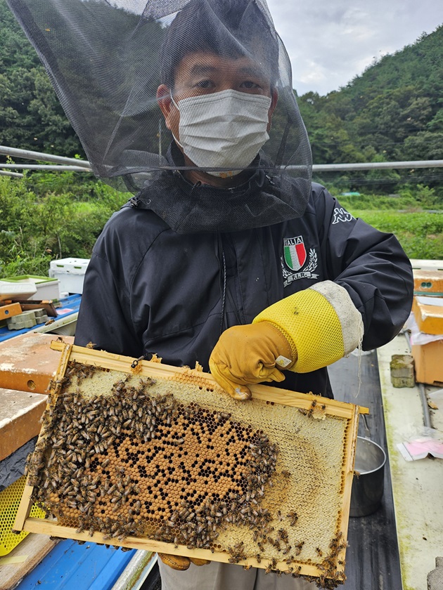 이상구표고농장꿀고추장350g 3개 선물세트