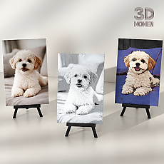 [3D 메모리 아트] 반려동물 액자 그림 수채화 초상화