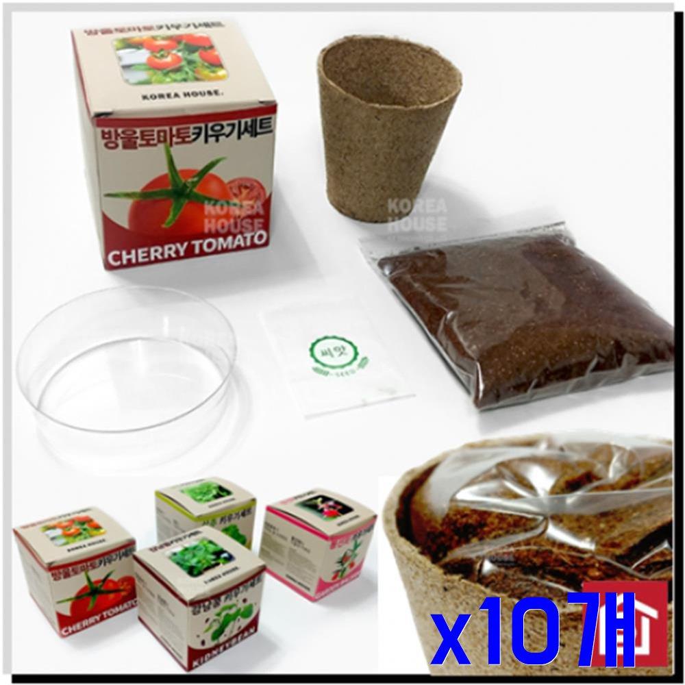 방울토마토 미니 재배 키우기세트 x10개
