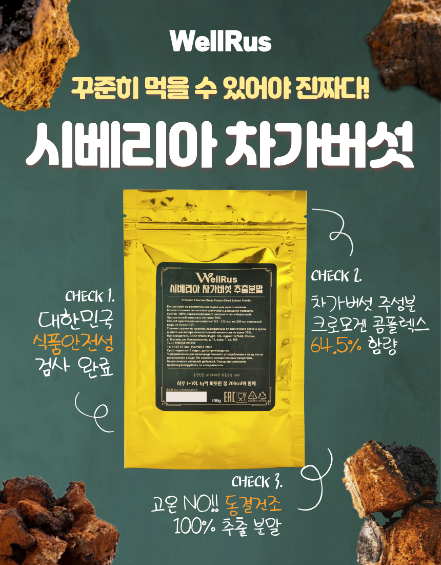 웰루스 러시아산 차가버섯 추출분말 선물세트