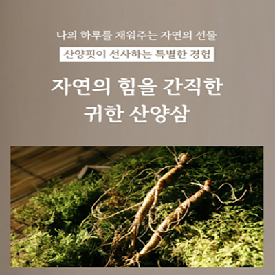 산양핏 600mg 60정 1+1통 산양삼