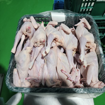 국내산 홍삼먹인 토종삼계탕 800g