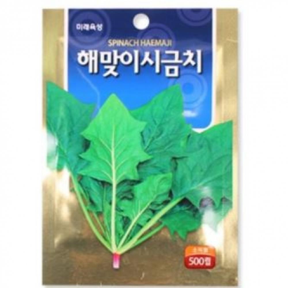 모종 텃밭 가꾸기 시금치 씨앗 500립