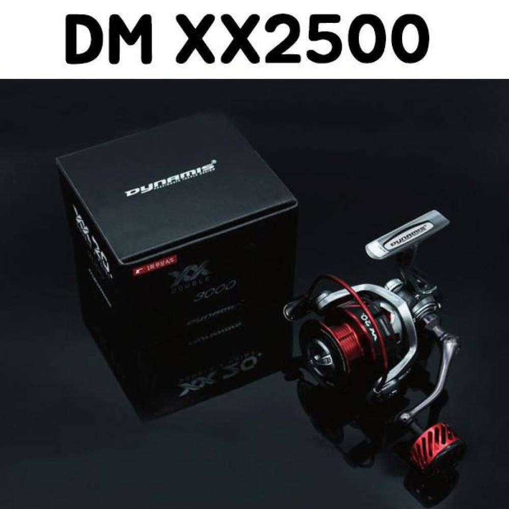 ST 다이나미스 더블 엑스 포인트 DM XX2500
