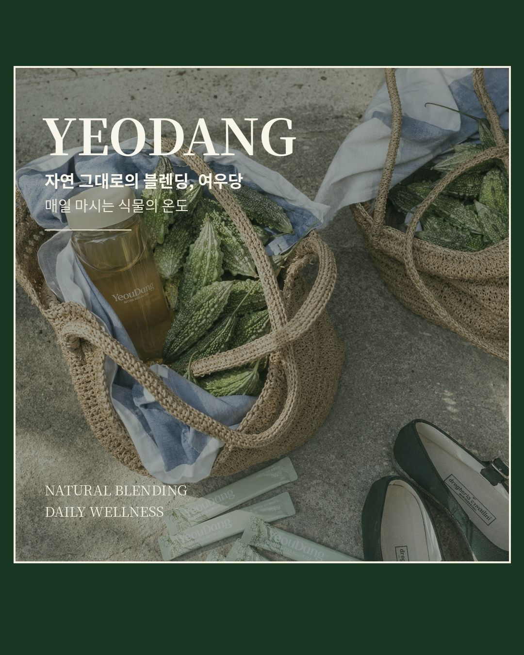 몸을 비워주는 차: 여우당 ( YeouDang)