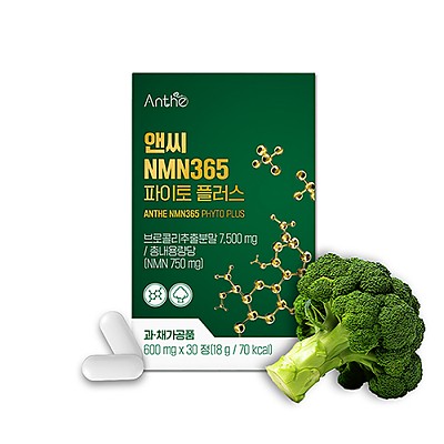 [재료소진특가][미국산 프리미엄 고함량 식물성] 앤씨 NMN365 파이토 플러스 600mg x 30정