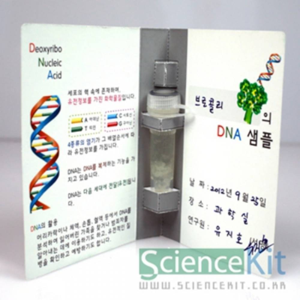 (SC) DNA추출1 식물세포(4인용)