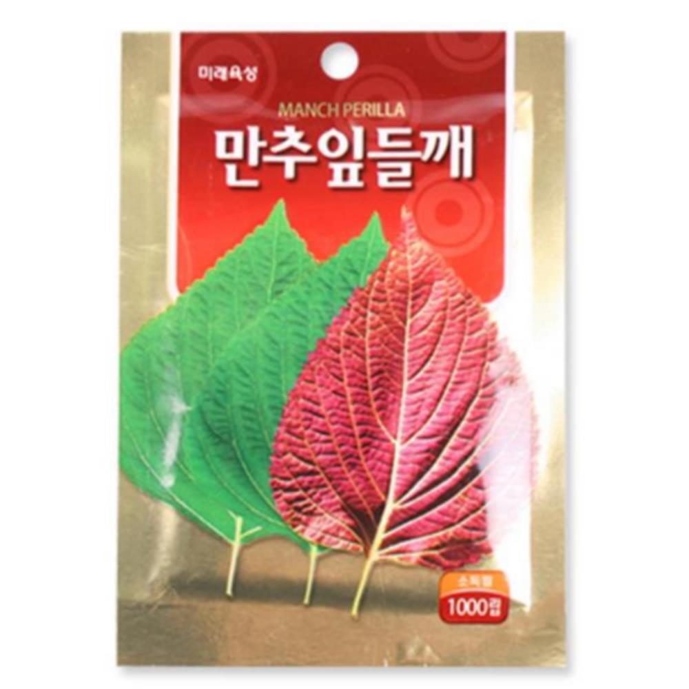 모종 텃밭 가꾸기 만추잎들깨 씨앗 1000립