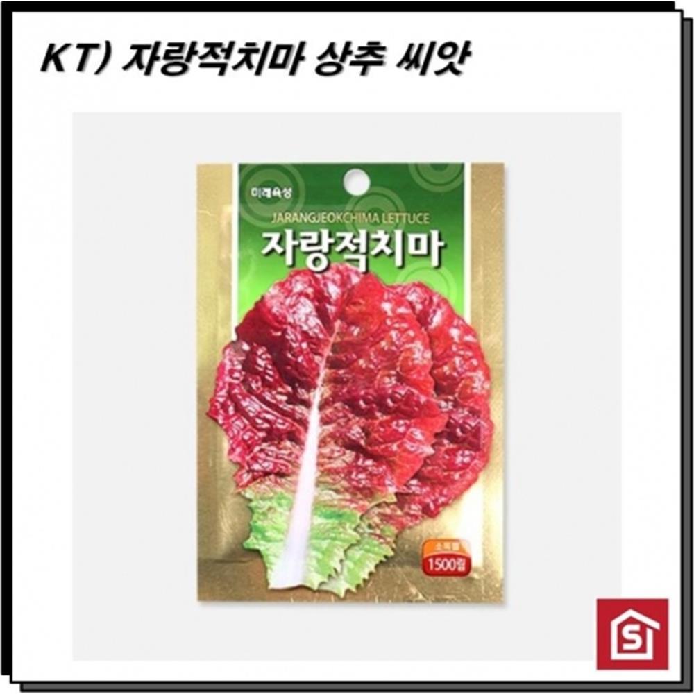 모종 텃밭 가꾸기 자랑적치마 씨앗 1500립