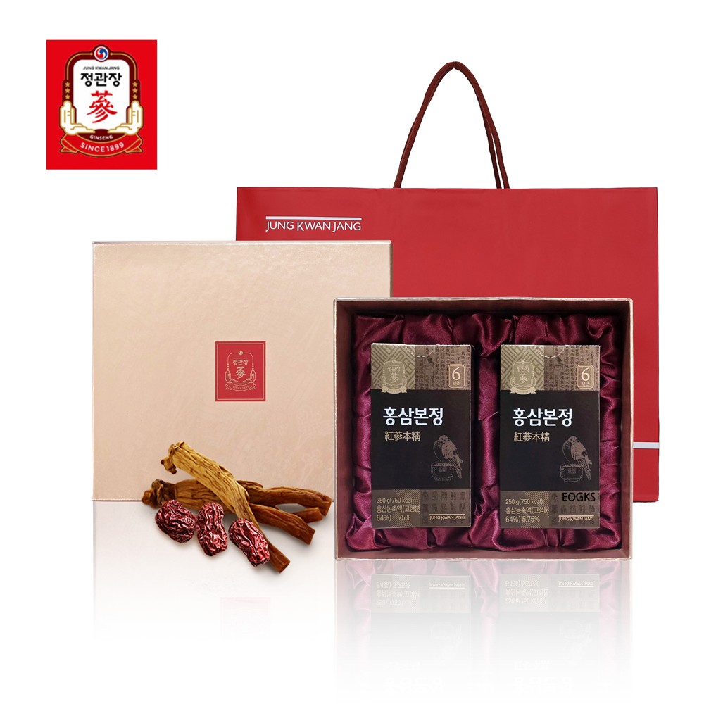 정관장 홍삼본정 250g x 2병 세트