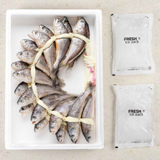 [아이반찬/실속형] 법성포 영광굴비 20마리 1.3kg