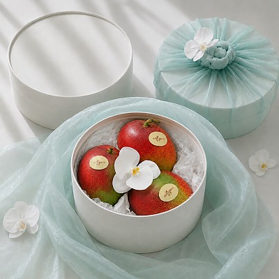 VIP 제주 애플망고 선물세트 1.5kg
