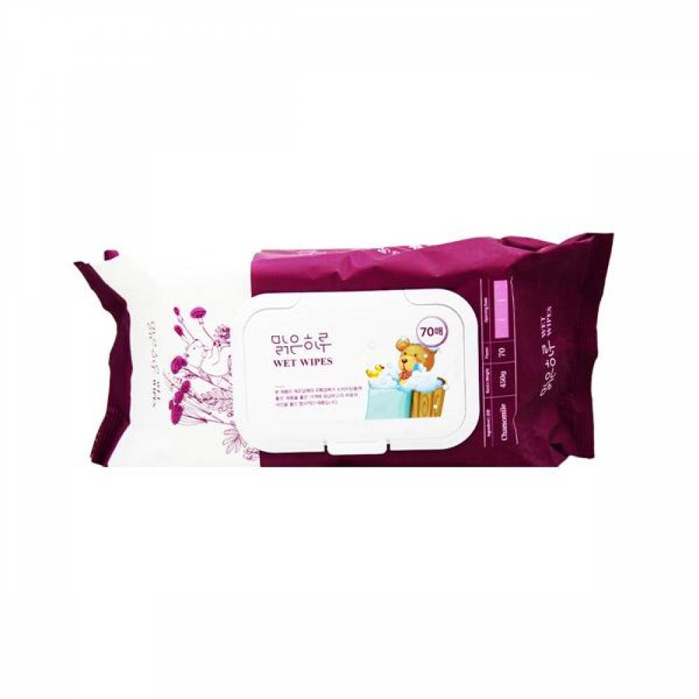 BTM 맑은하루 물티슈 캡형 450g 70매