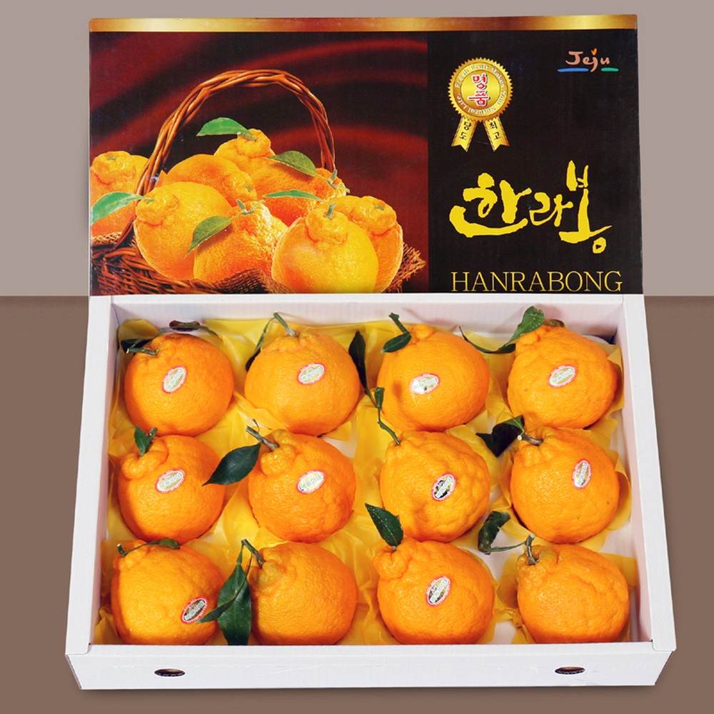 [더기다림 과일] 한라봉 선물세트 3kg(12~15과)