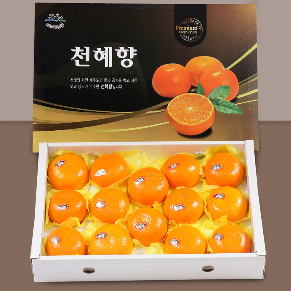 [더기다림 과일] 천혜향 선물세트 5kg(12~17과)