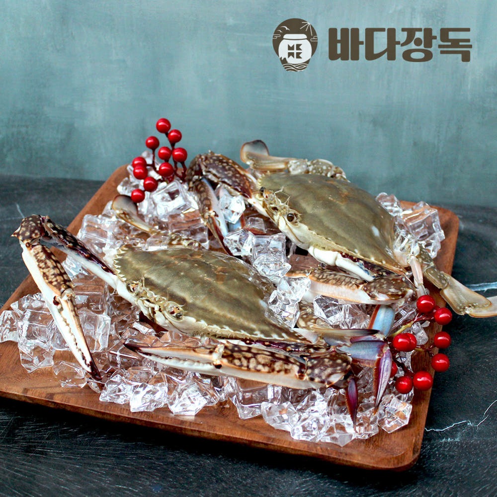 [바다장독] 국내산 암꽃게 원물 중/중대 1kg