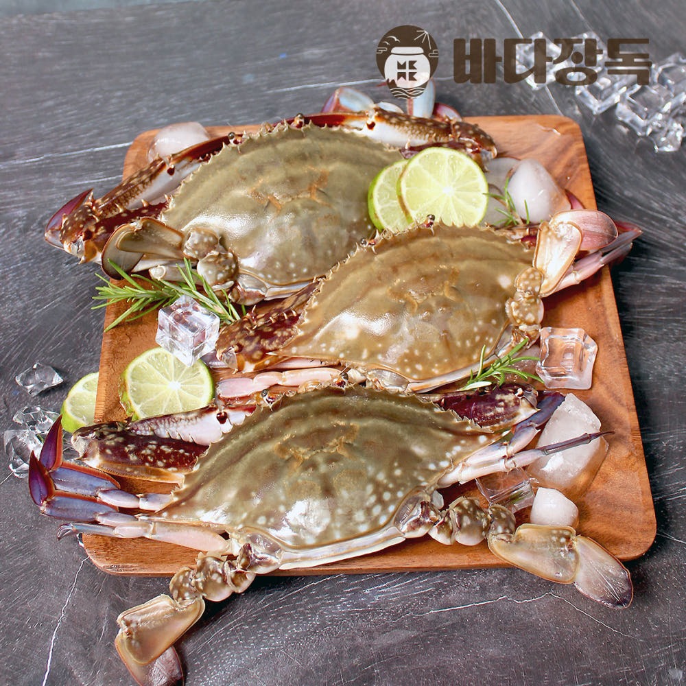 [바다장독] 국내산 암꽃게 원물 중/중대 1kg