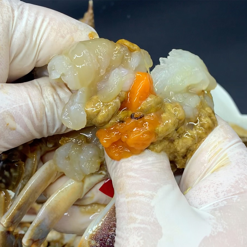 [바다장독] 국내산 간장꽃게장 (통) (소2미 1.2kg 외 5종 택1) 중3미 2kg