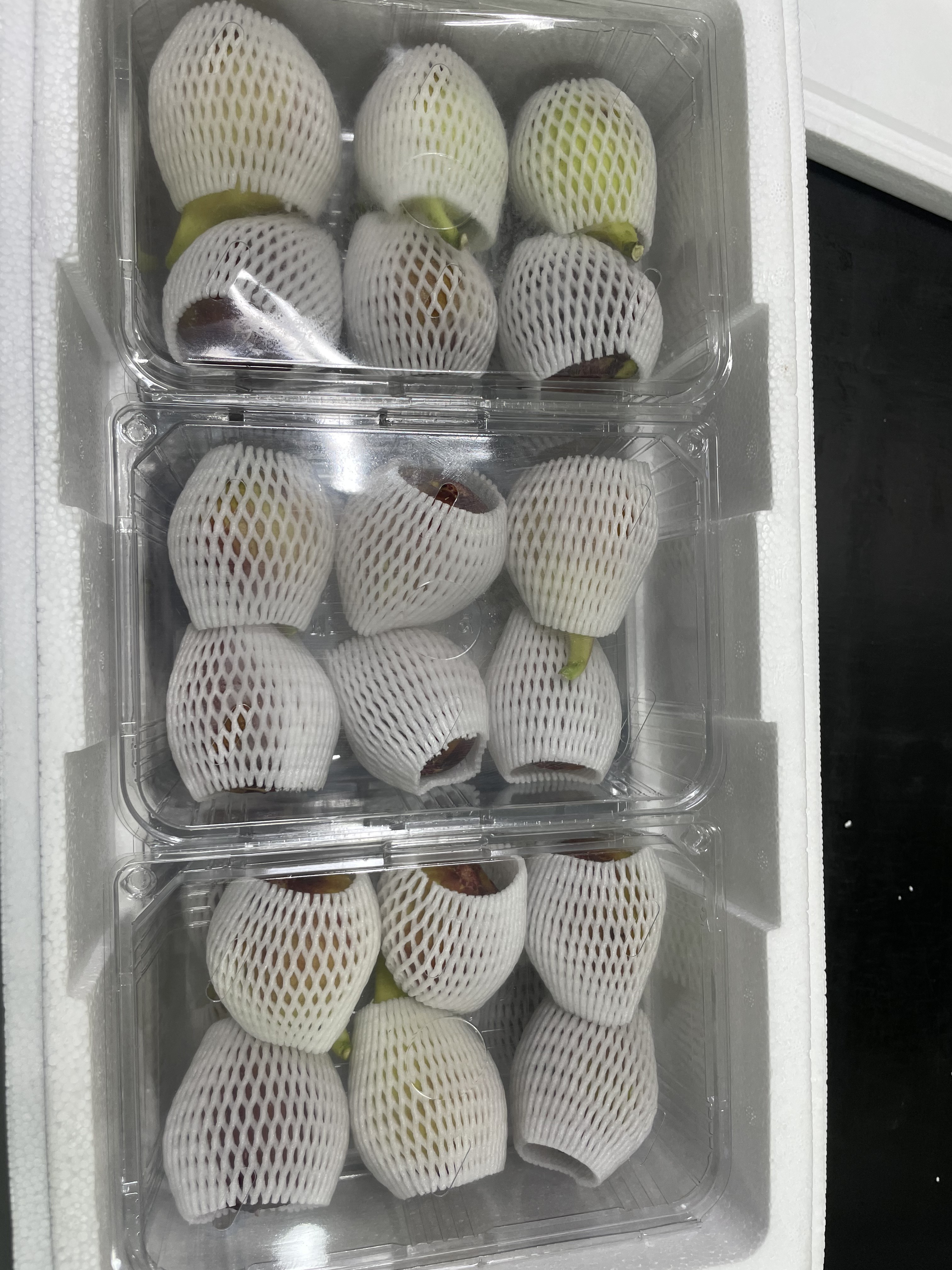 GAP 홍무화과 홍무화과 1kg