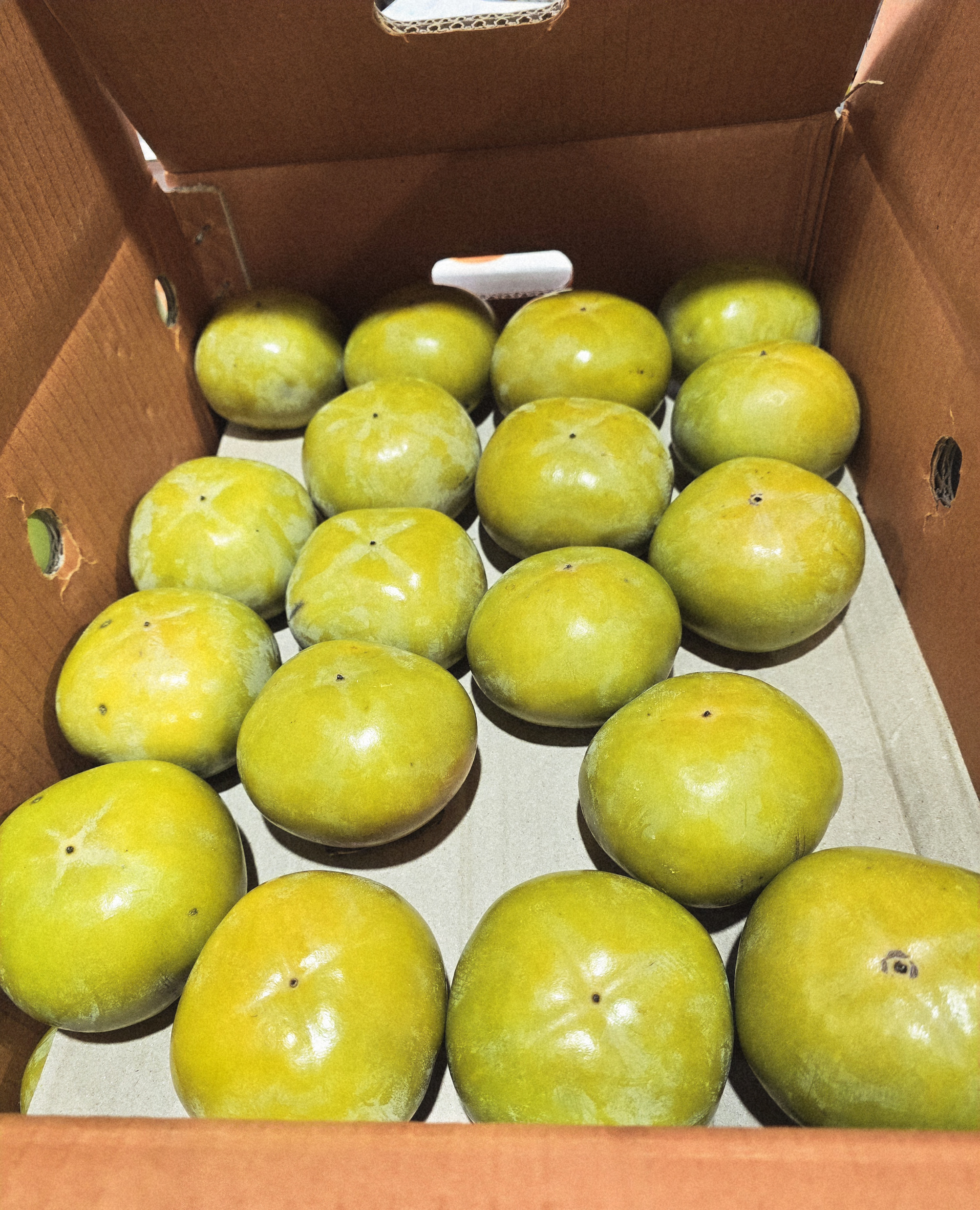 단감 정품 단감 소과 3kg (18과 내외)