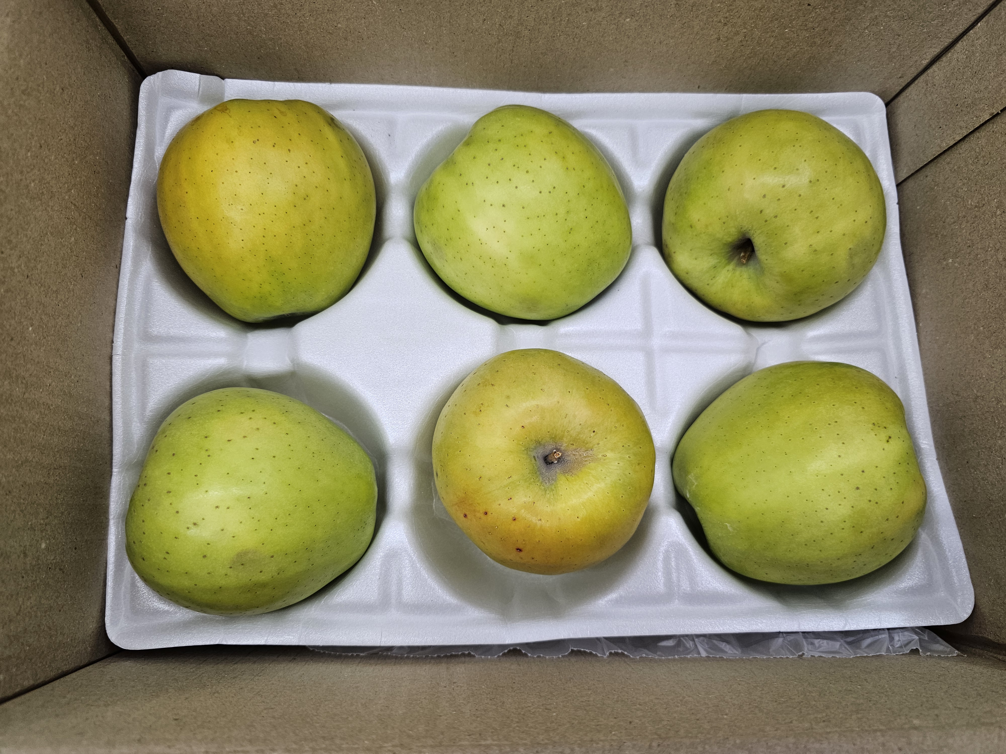 골든피치애플사과 가정용 골든피치애플 가정용 2kg (4~10과 내외)