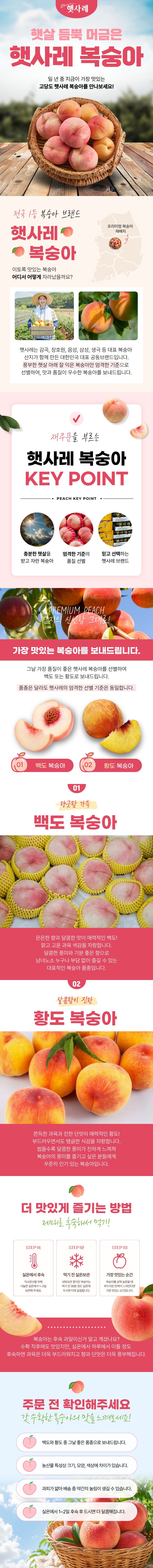 [햇사레] 복숭아 햇사레 황도 대과 4kg(17-19과 내외)