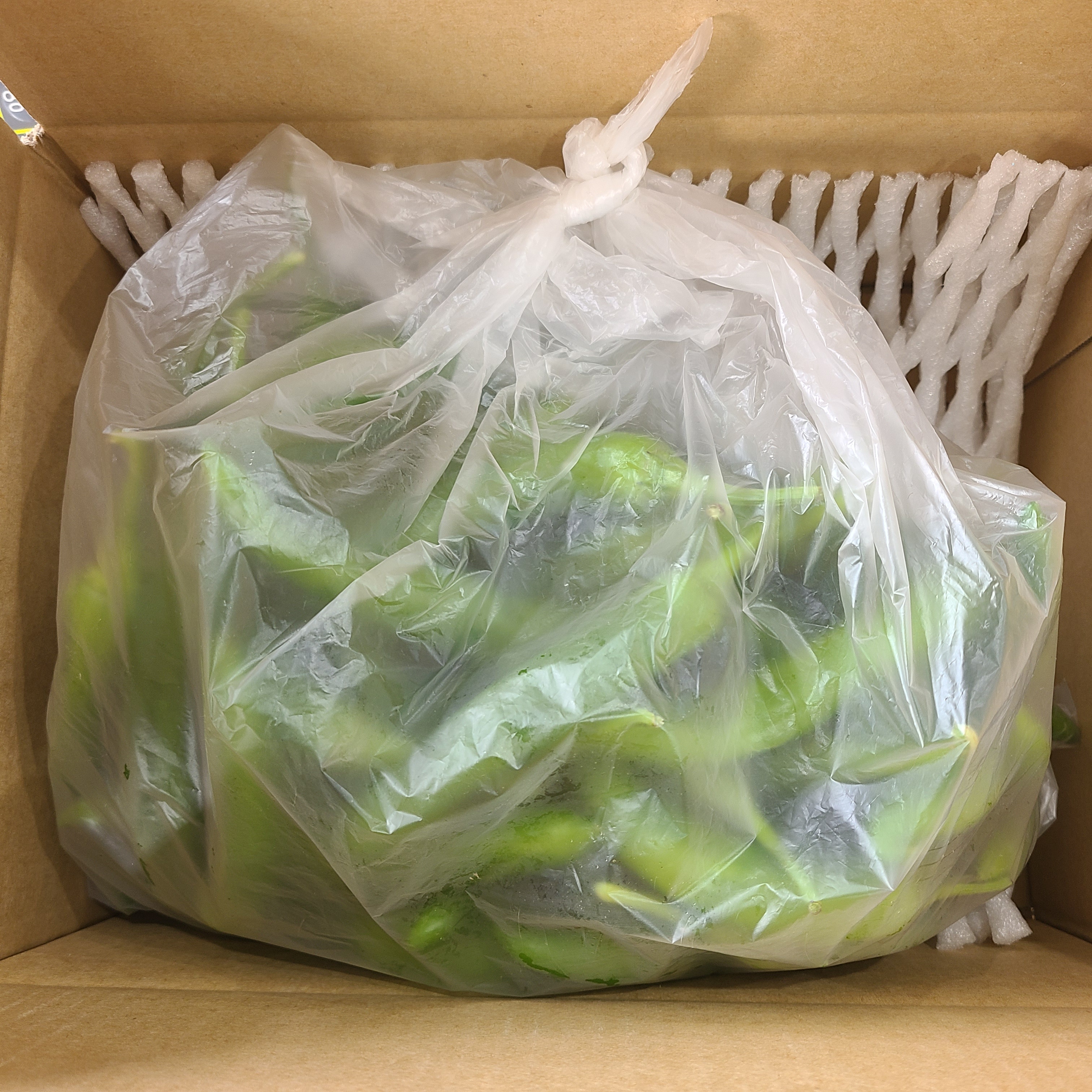 청양고추 1kg