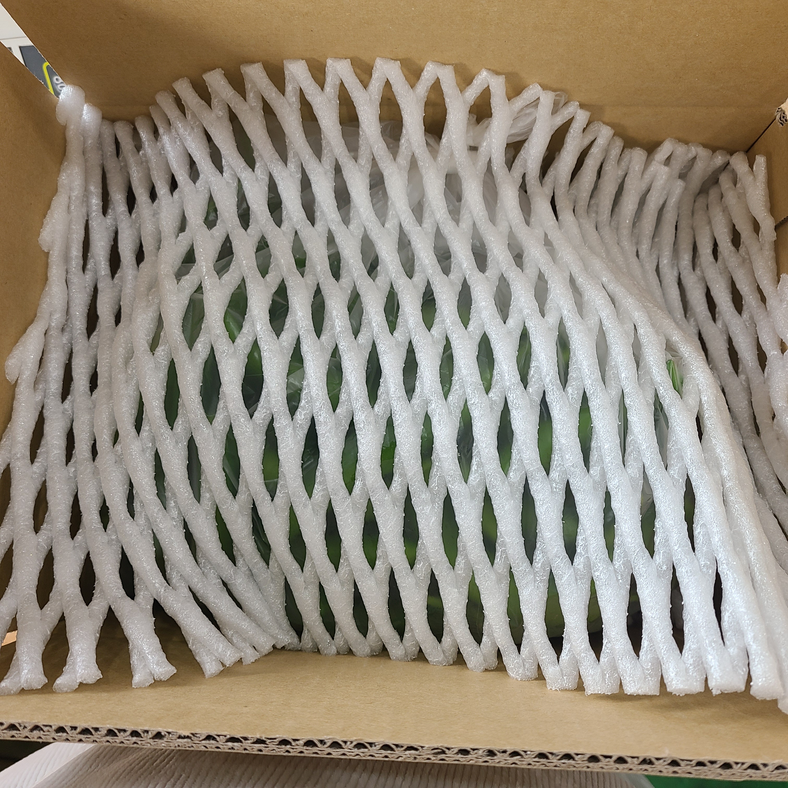 청양고추 5kg