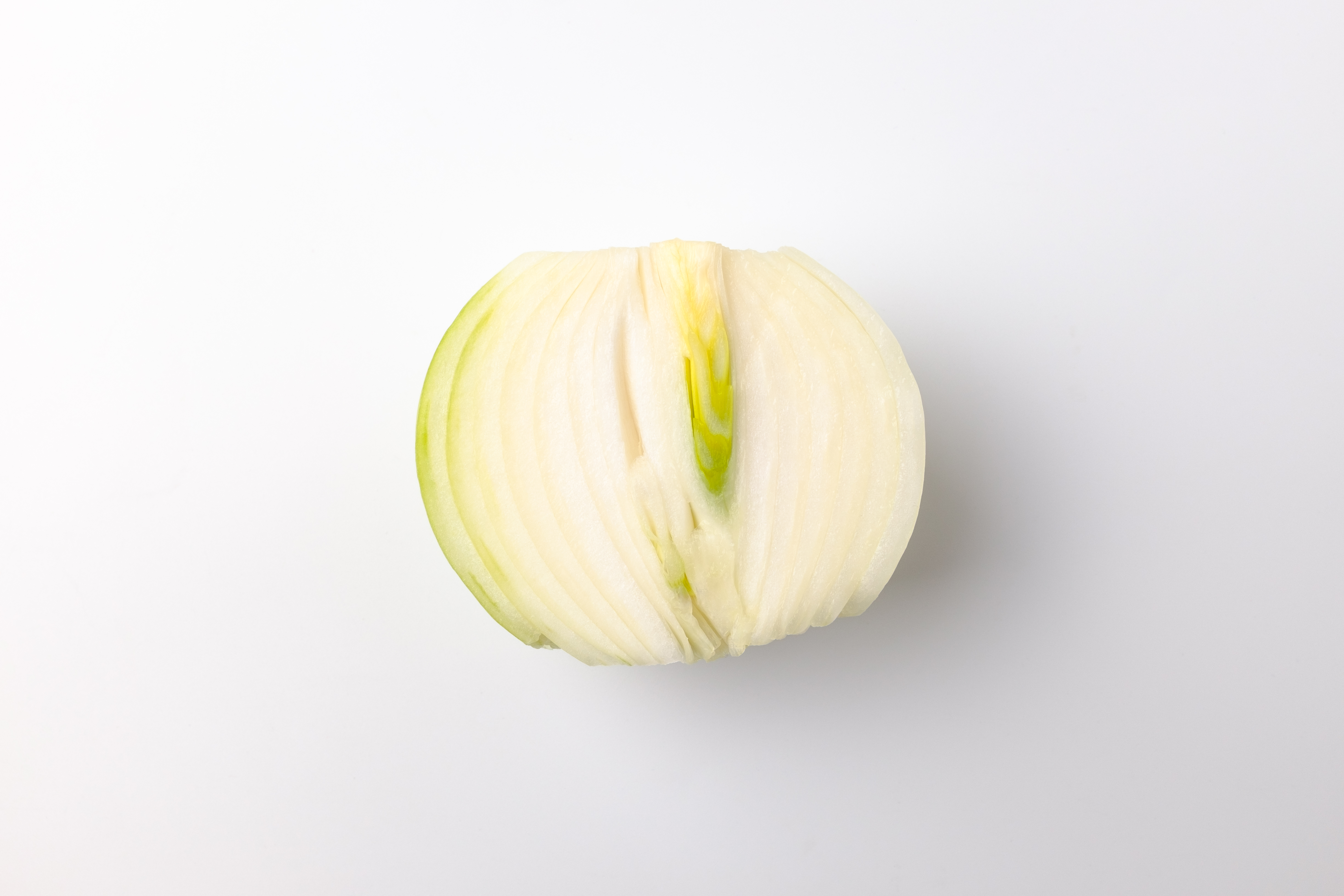 햇양파 3kg