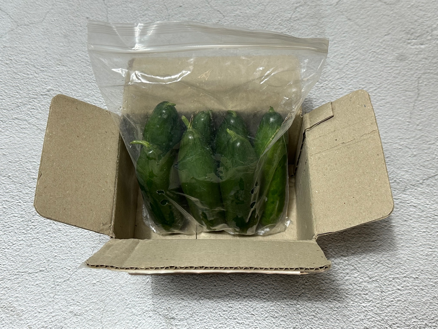 미니오이 1kg