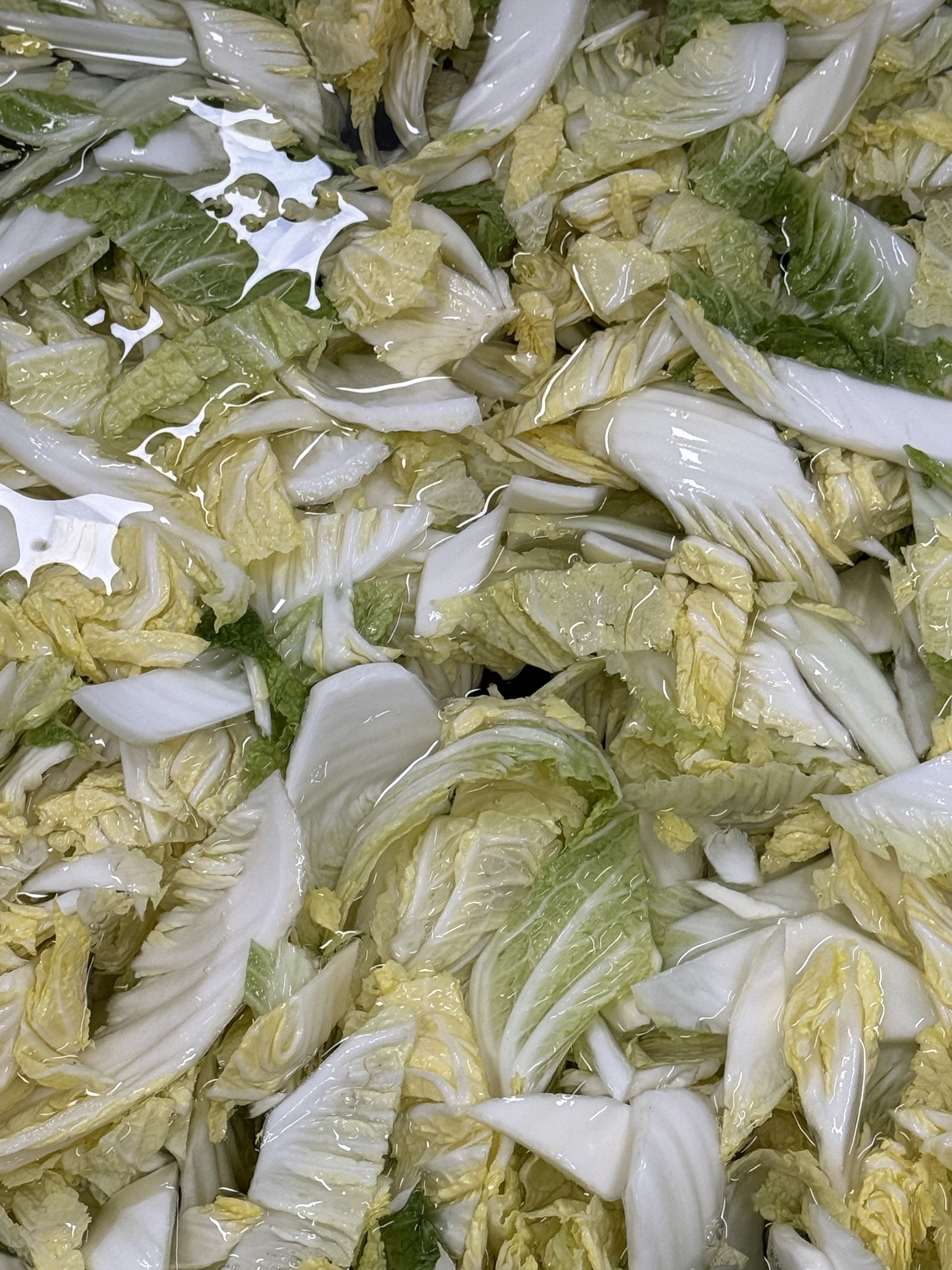 배추겉절이 3kg