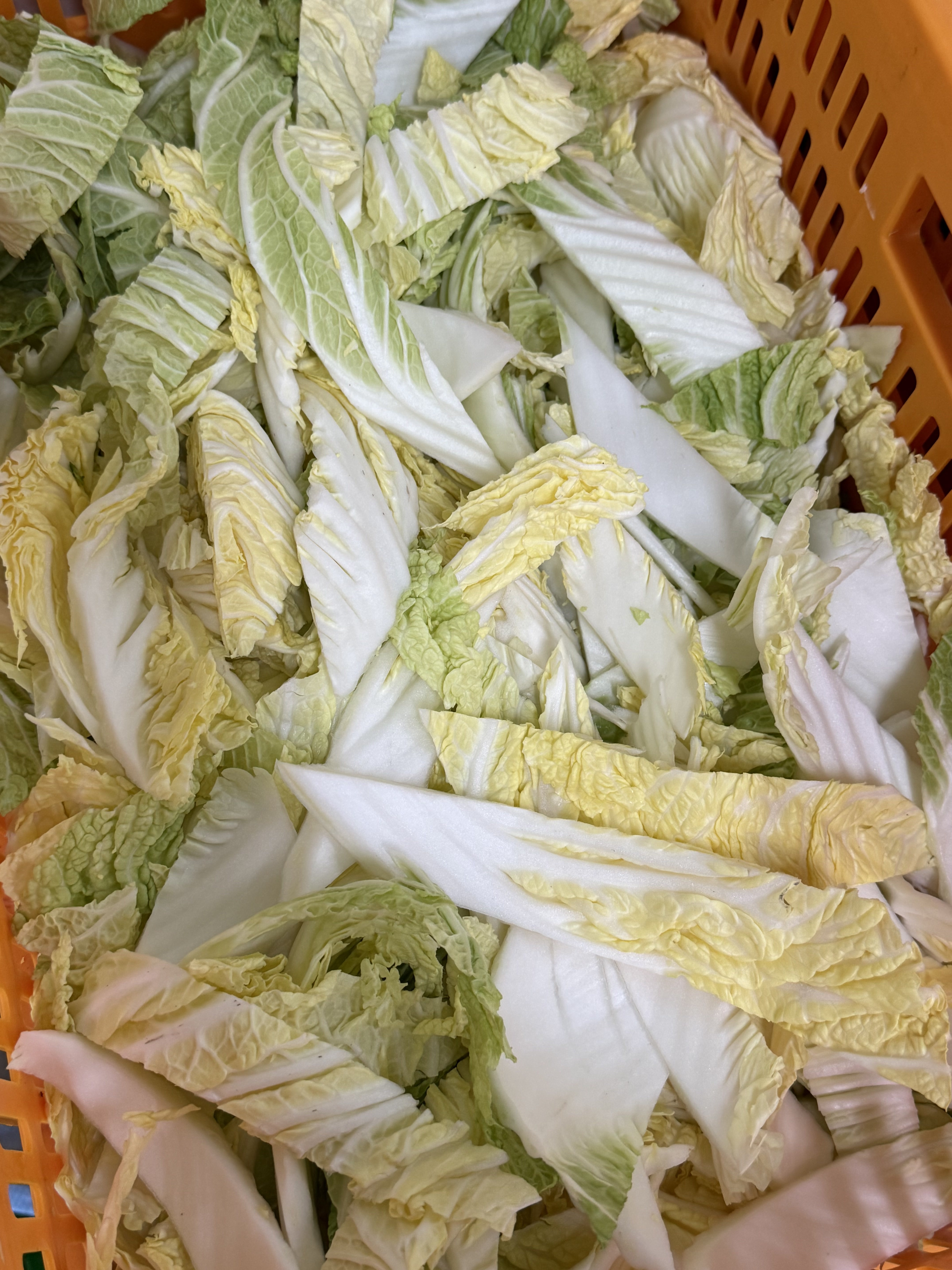 배추겉절이 5kg