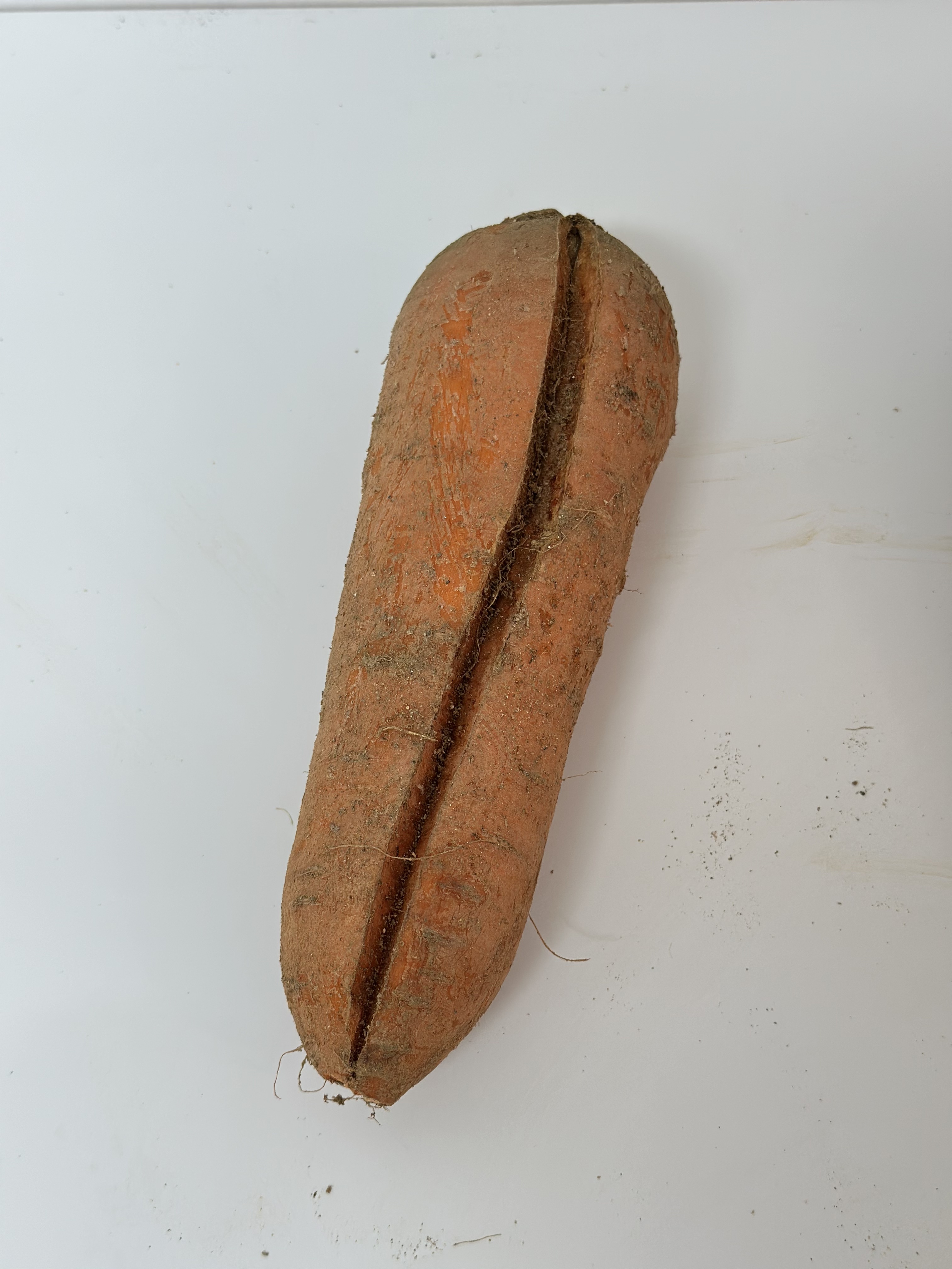 못난이 쥬스용 당근 당근쥬스용1kg 혼합과