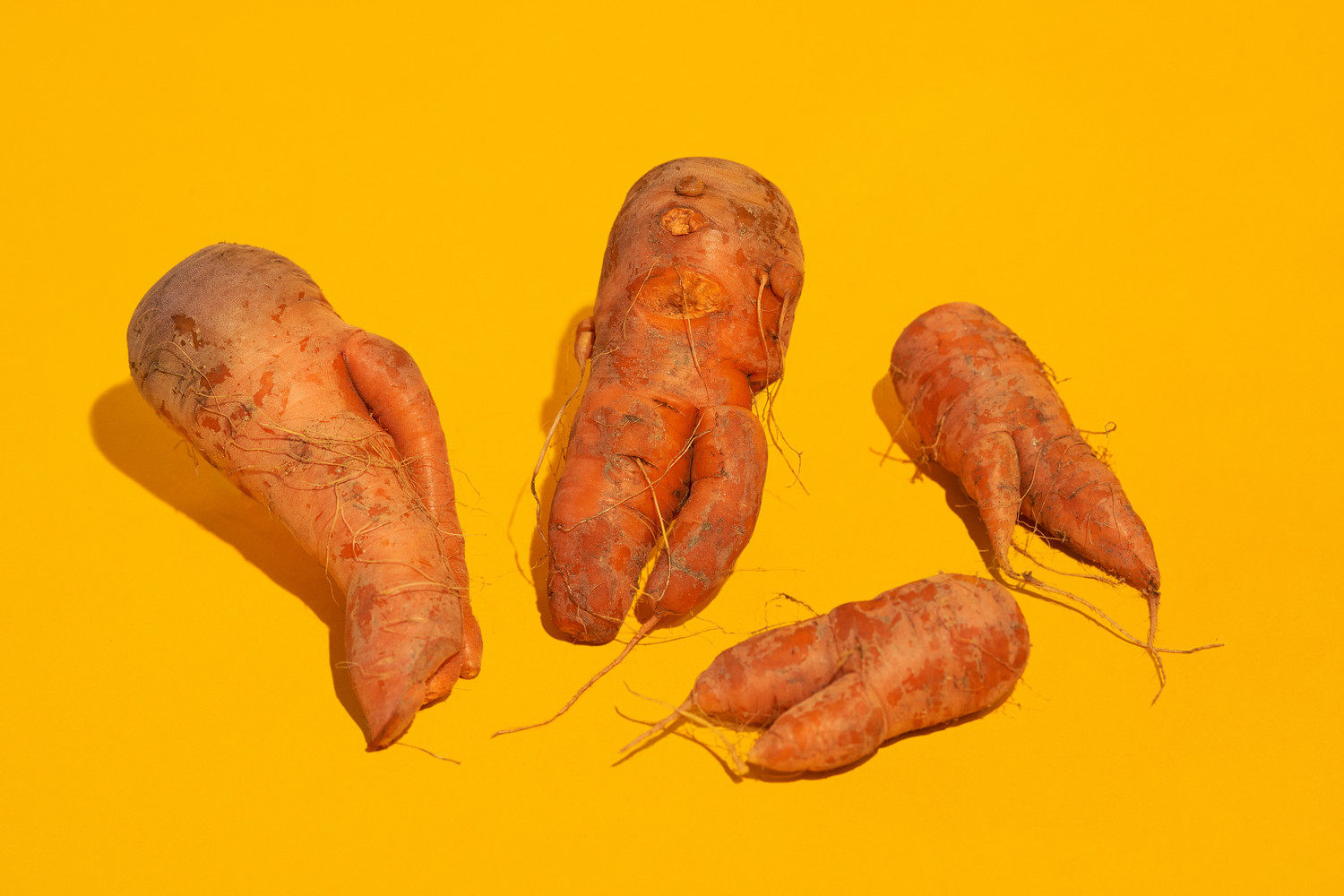 못난이 쥬스용 당근 당근쥬스용1kg 혼합과