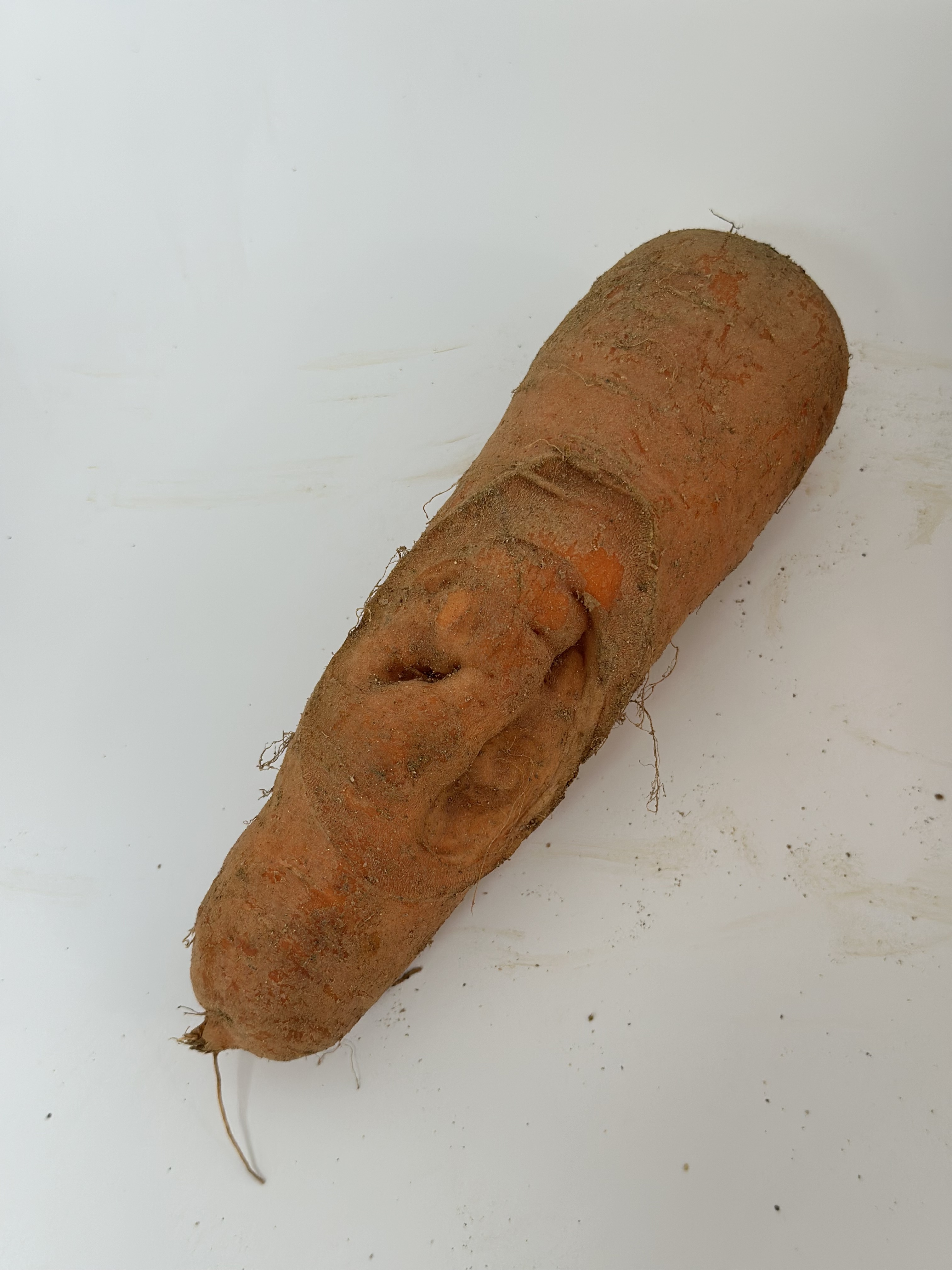 못난이 쥬스용 당근 당근쥬스용1kg 혼합과