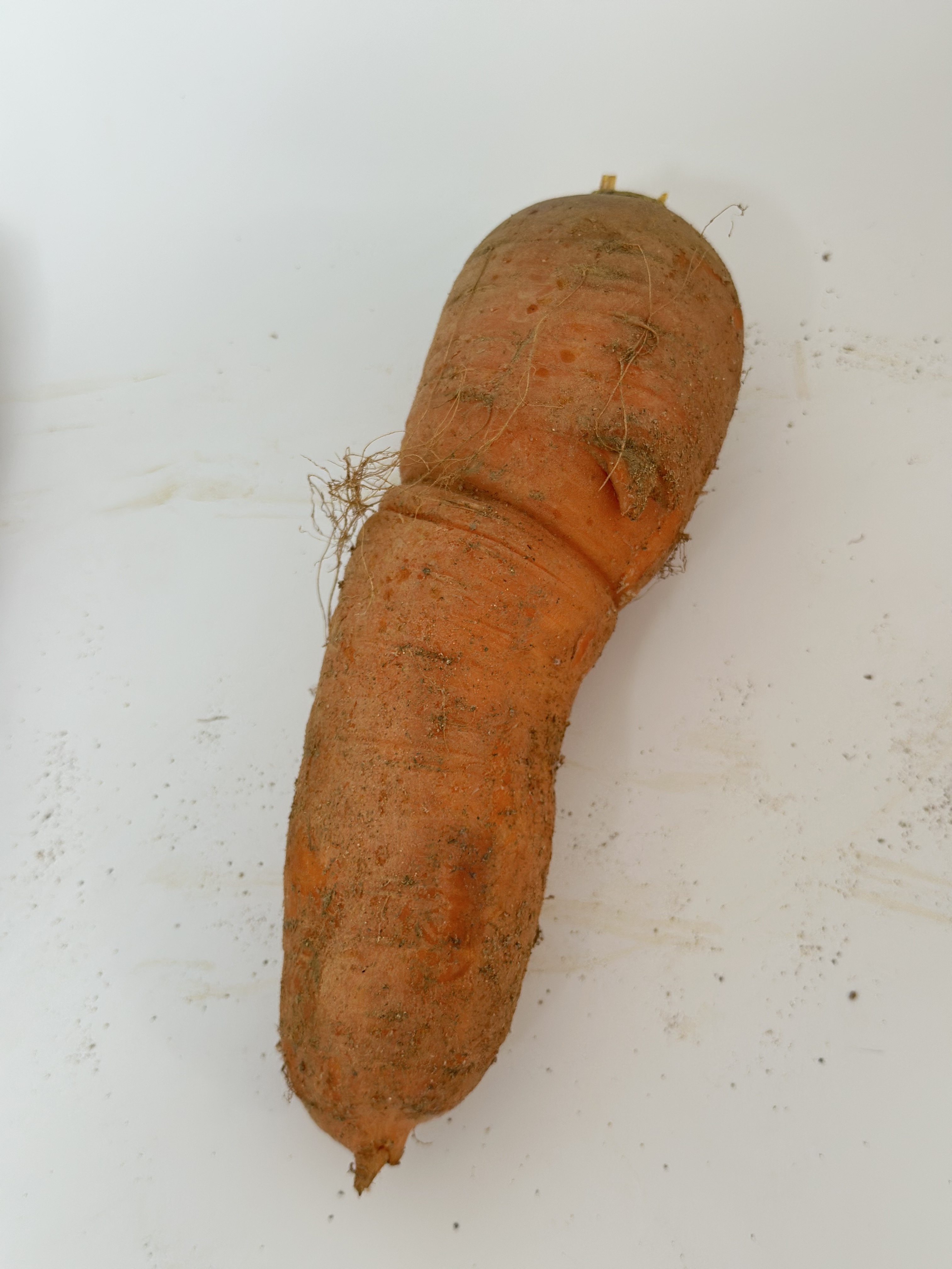 못난이 쥬스용 당근 당근쥬스용3kg 혼합과