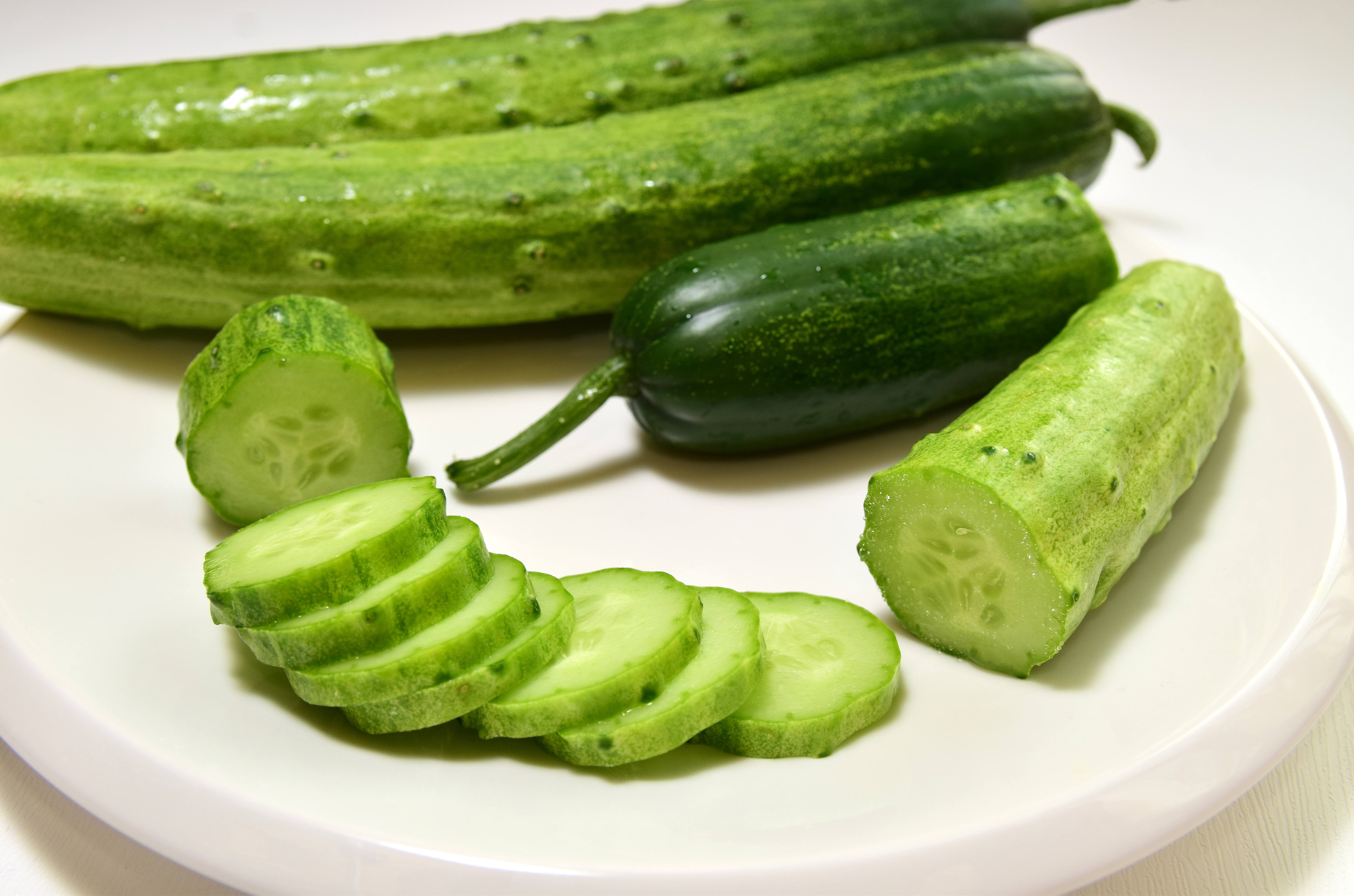 백오이 5kg