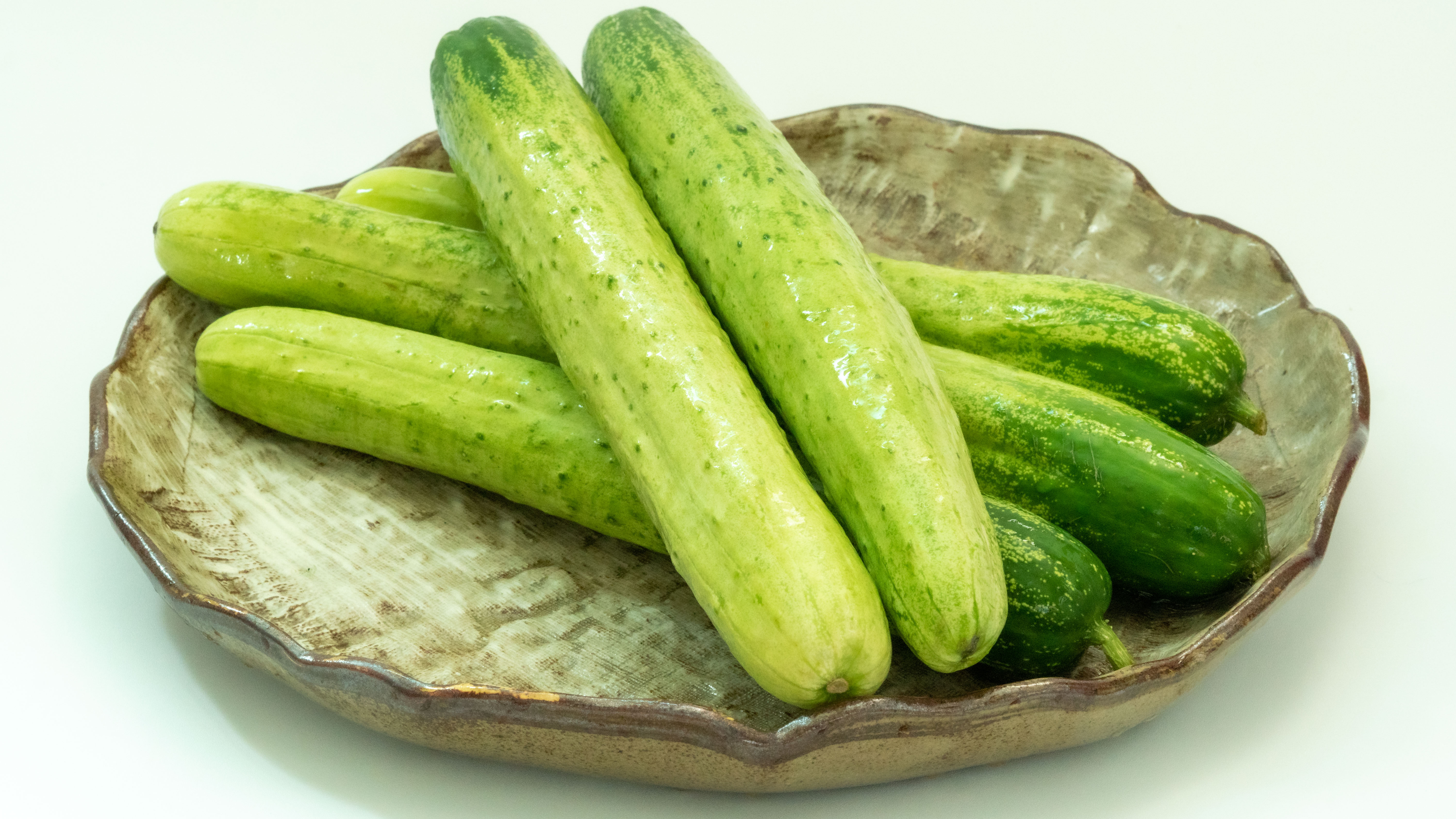 백오이 5kg